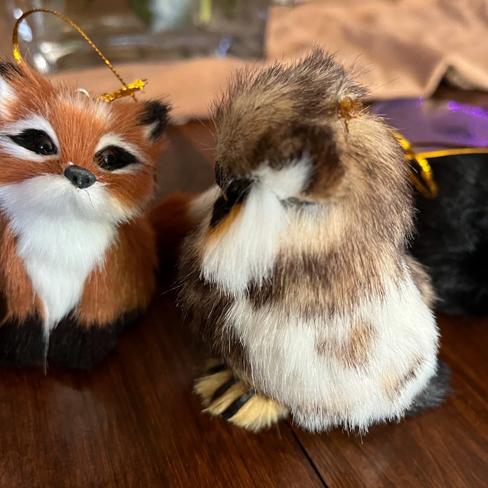 Adorable Owl - Picture 4 of 4